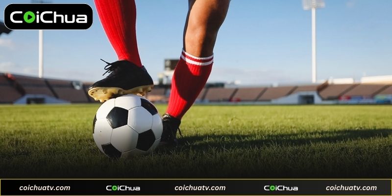 Giải đấu bóng đá lớn có tại Coichua TV