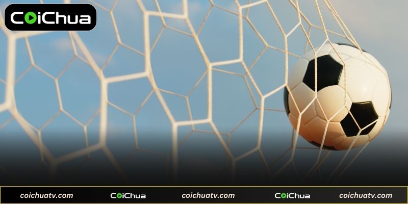 Hướng dẫn tra cứu thứ hạng đội bóng