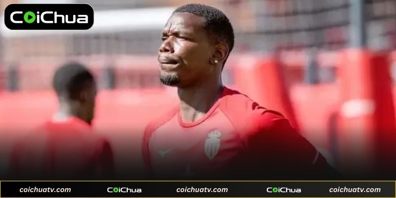 Paul Pogba Hiện Tại - Hành Trình Trở Lại Sân Cỏ 2026 3 Các đội bóng quan tâm đến tiền vệ Pháp