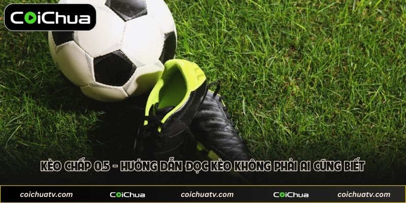 Kèo Chấp 0.5 - Hướng Dẫn Đọc Kèo Không Phải Ai Cũng Biết