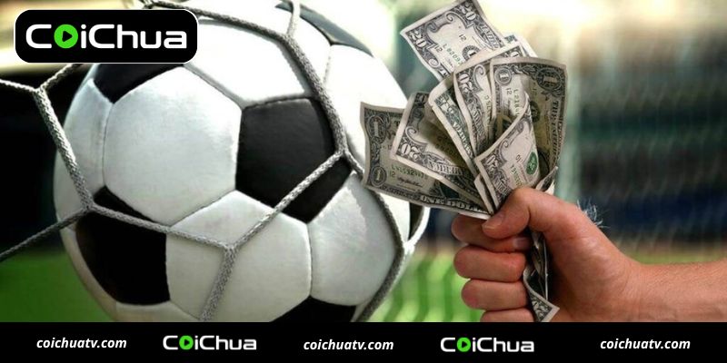 Cách xem Odds - Hướng dẫn chi tiết tỷ lệ cược trong cá cược thể thao 2 3