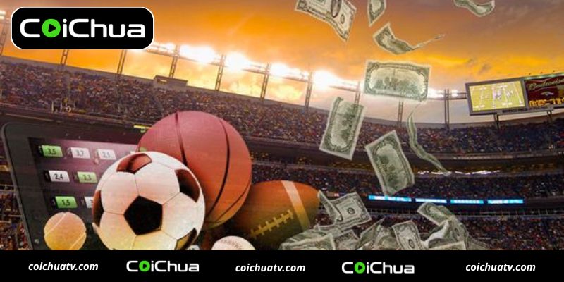 Cách xem Odds - Hướng dẫn chi tiết tỷ lệ cược trong cá cược thể thao 1 Cách xem Odds